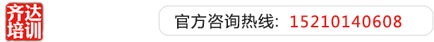 爆操骚屄视频齐达艺考文化课-艺术生文化课,艺术类文化课,艺考生文化课logo